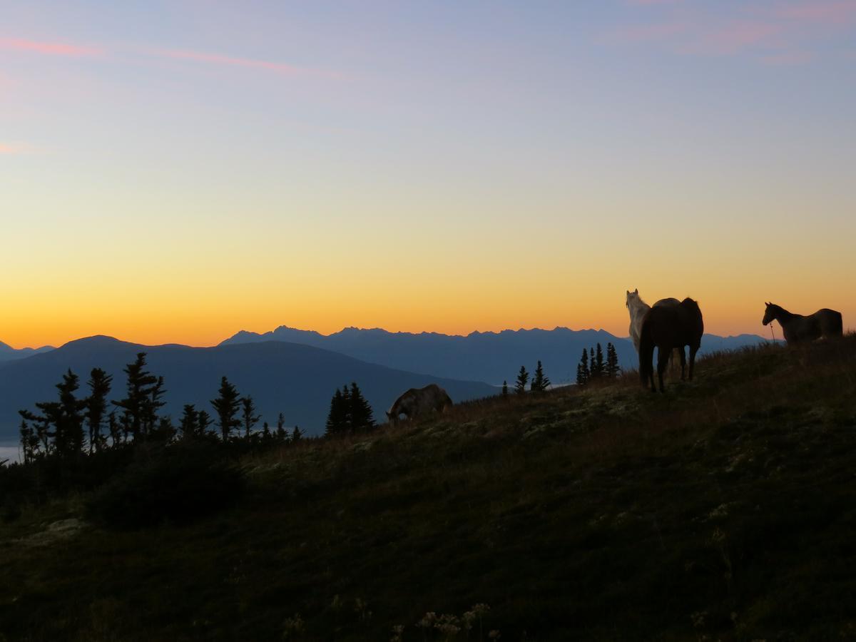 Bear Claw Lodge Kispiox Εξωτερικό φωτογραφία