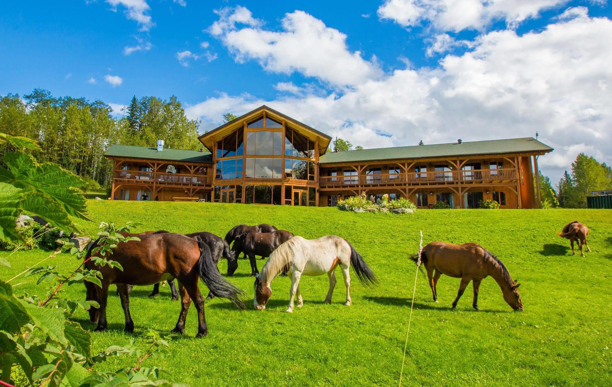 Bear Claw Lodge Kispiox Εξωτερικό φωτογραφία